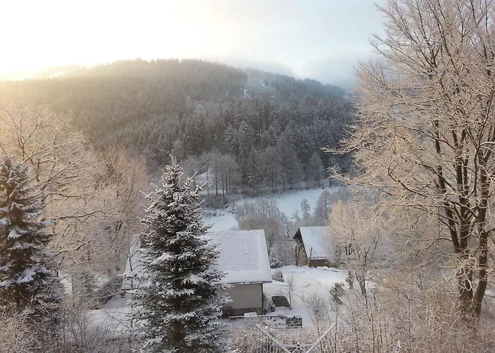 Haus Vor Den Eichen Fuer Familien Willingen (Upland)