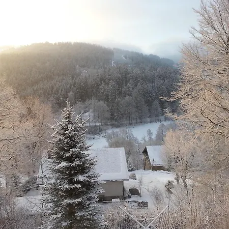 Haus Vor Den Eichen Fuer Familien Willingen