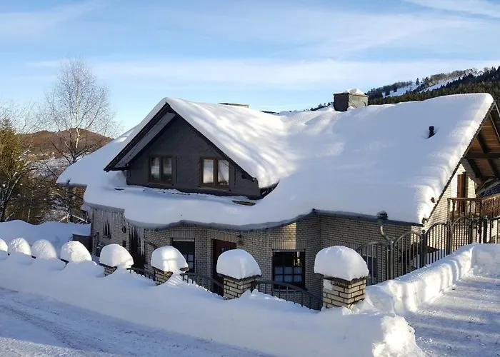 Haus Vor Den Eichen Fuer Familien * Willingen (Upland)